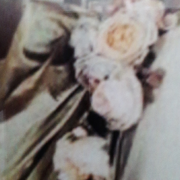 marymmboutique POSH AMBASSADOR II - Picture 1 of 1